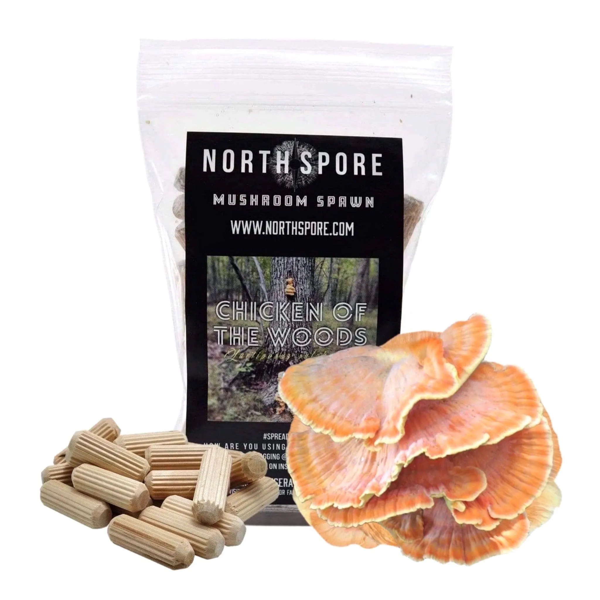 Organic Chicken of the Woods Mushroom Plug Spawn